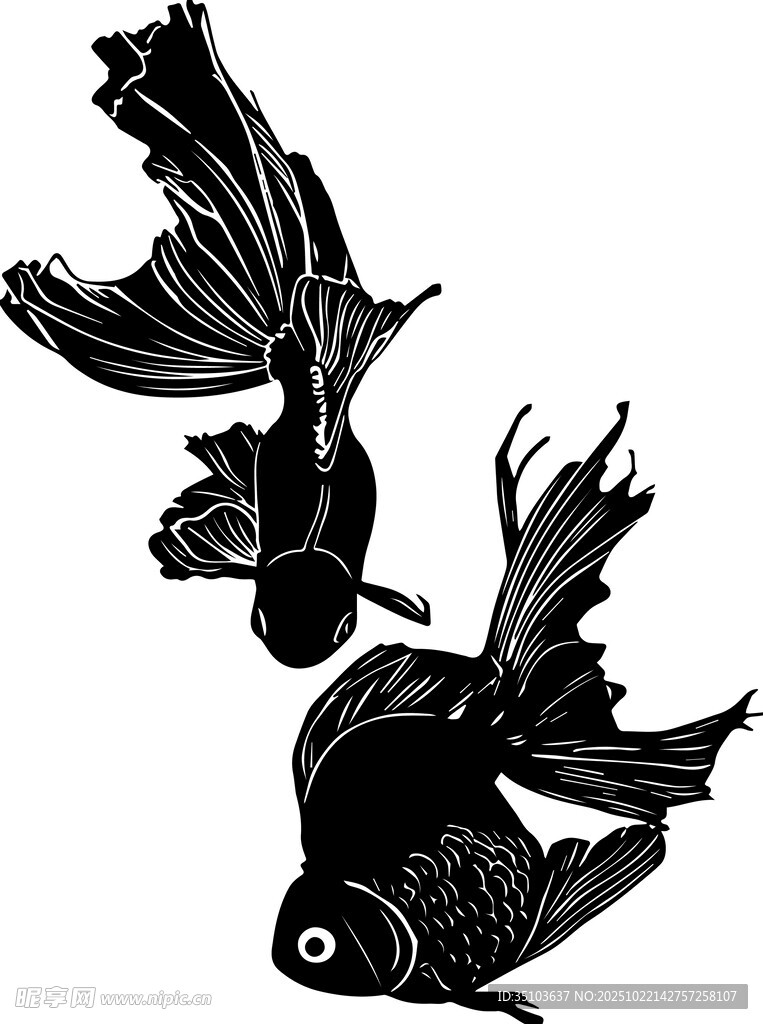 双尾金鱼黑白艺术插画