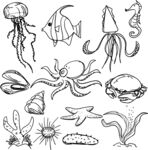 海洋生物手绘素材集合