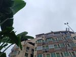 城市中带绿植的多层建筑