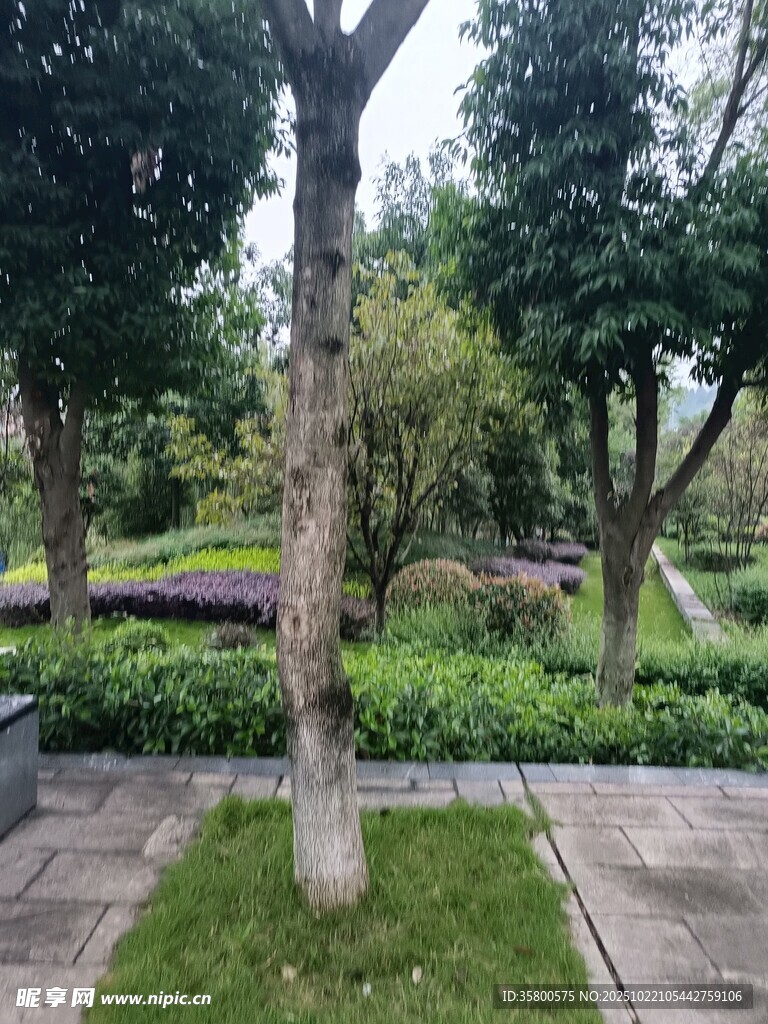 城市中的静谧绿植景观