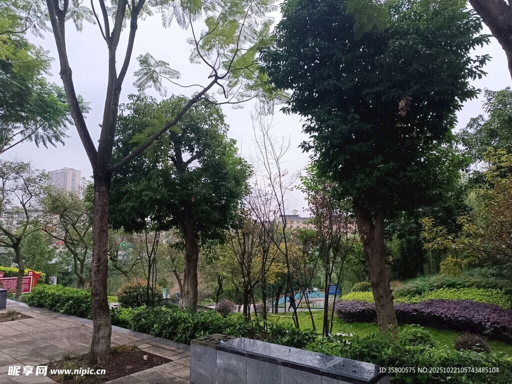 城市公园绿意盎然景致