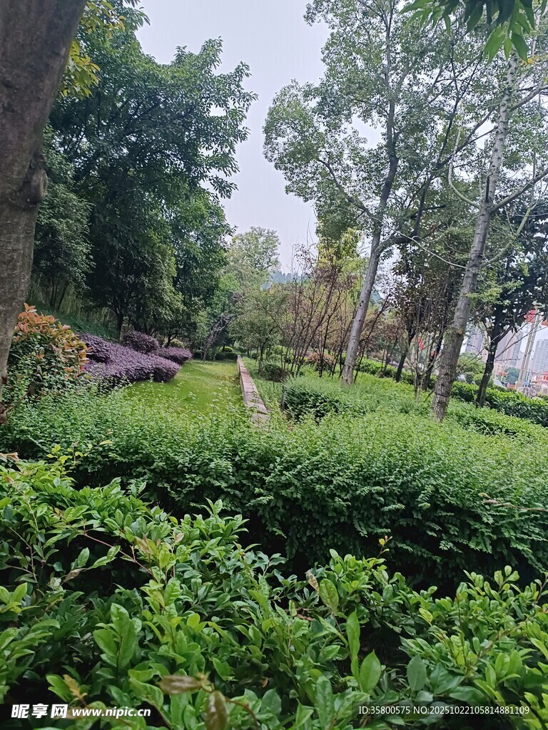 绿意盎然的园林景观