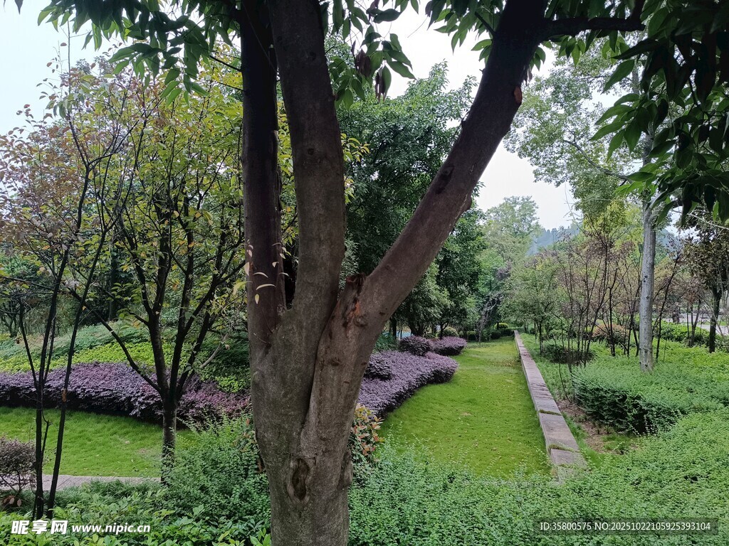 静谧园林景观