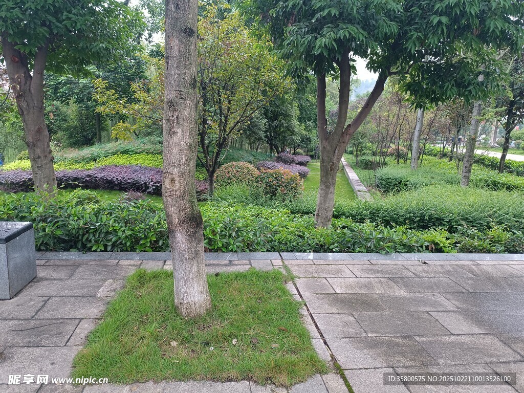 城市公园中的绿植景观
