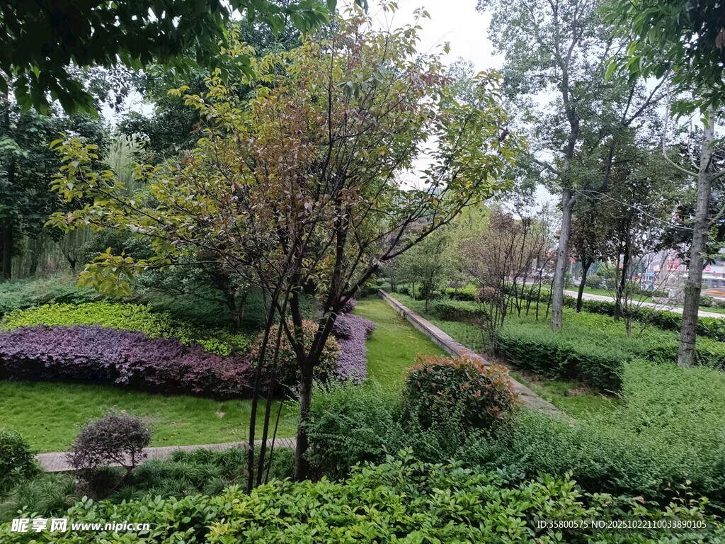 美丽园林景观