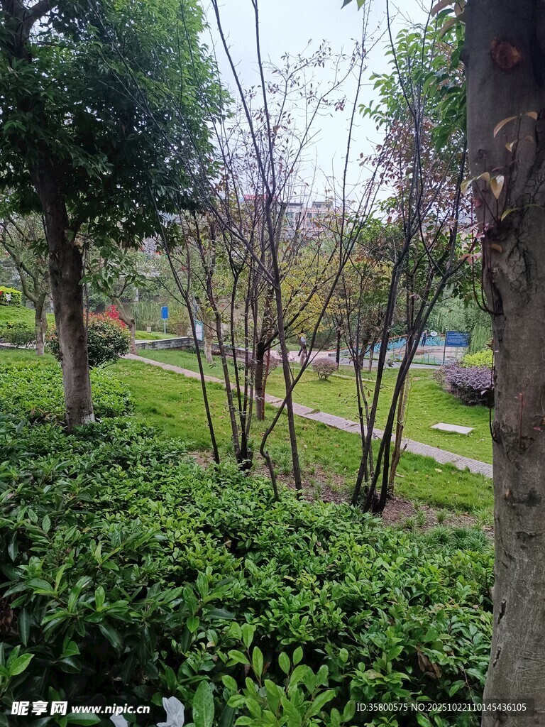 春日园林绿植景观