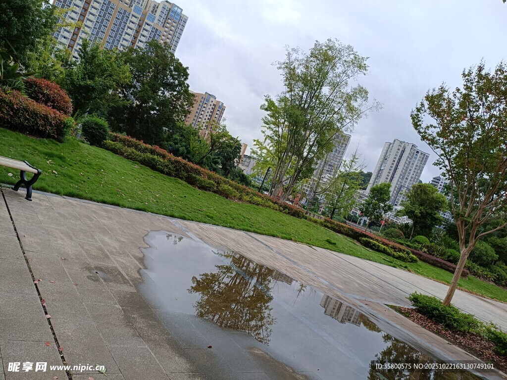 雨后公园积水倒影景象