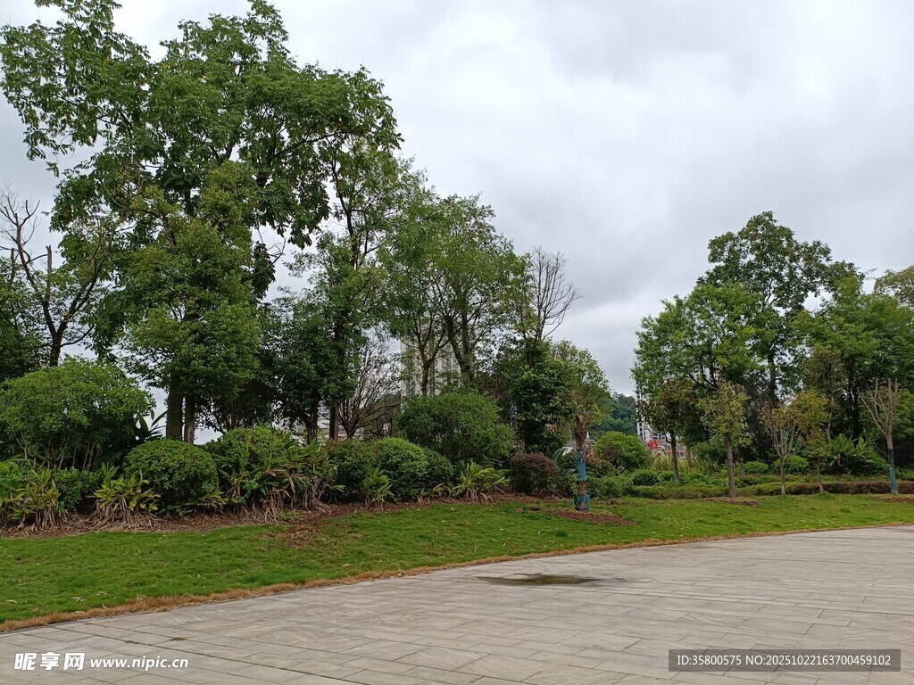 户外绿树环绕的开阔场景