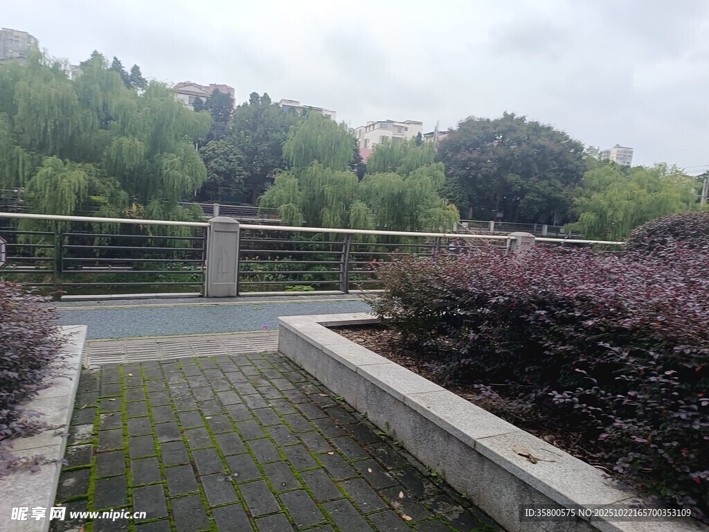 城市中的绿植景观步道