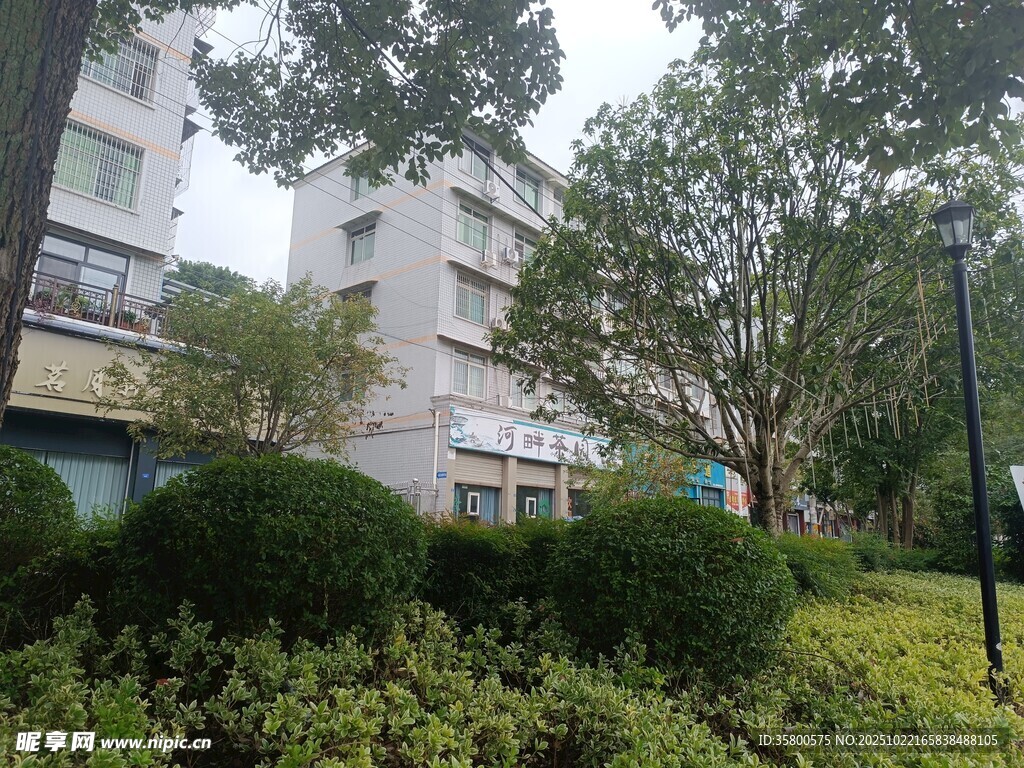 小区绿植环绕的楼宇景观