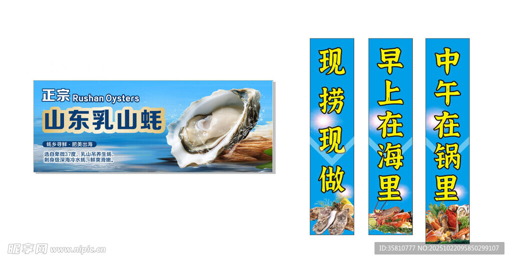 正宗山东乳山蚝
