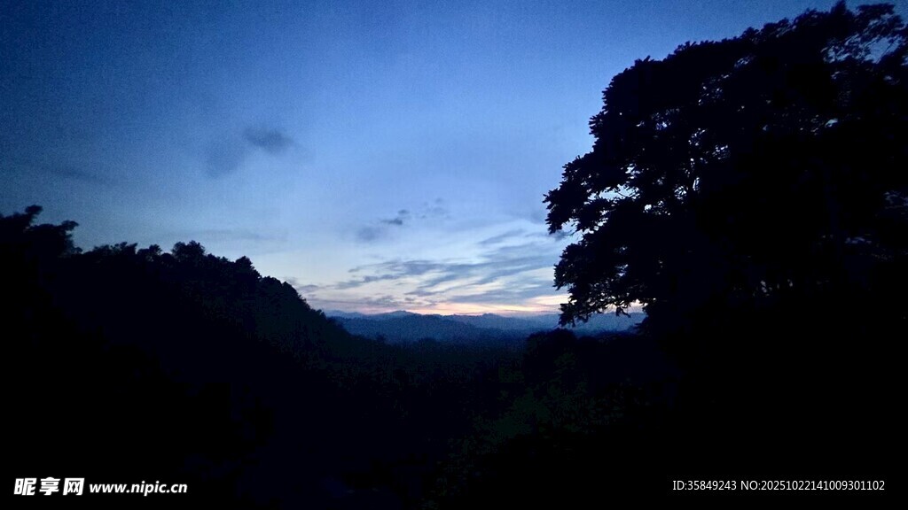 夜幕下的山林景色