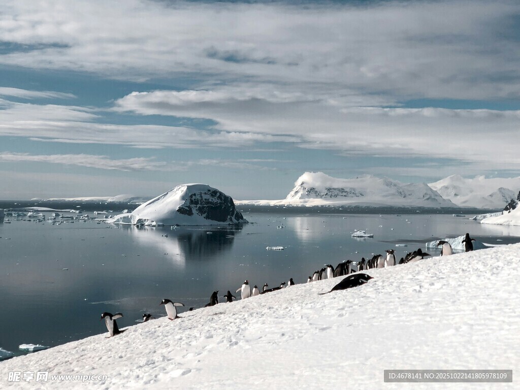 极地冰雪景观与漂浮冰山
