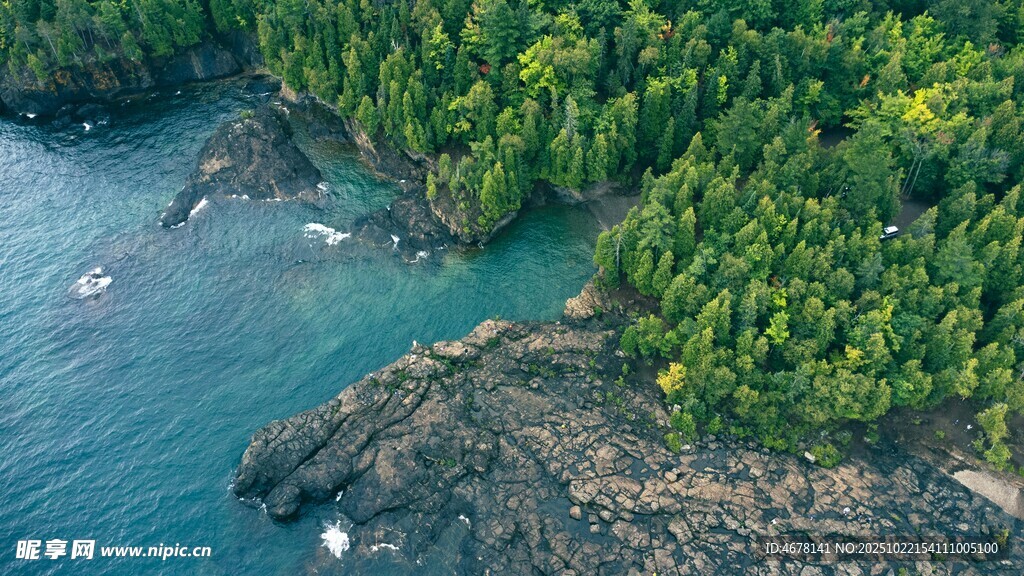 海岸森林美景