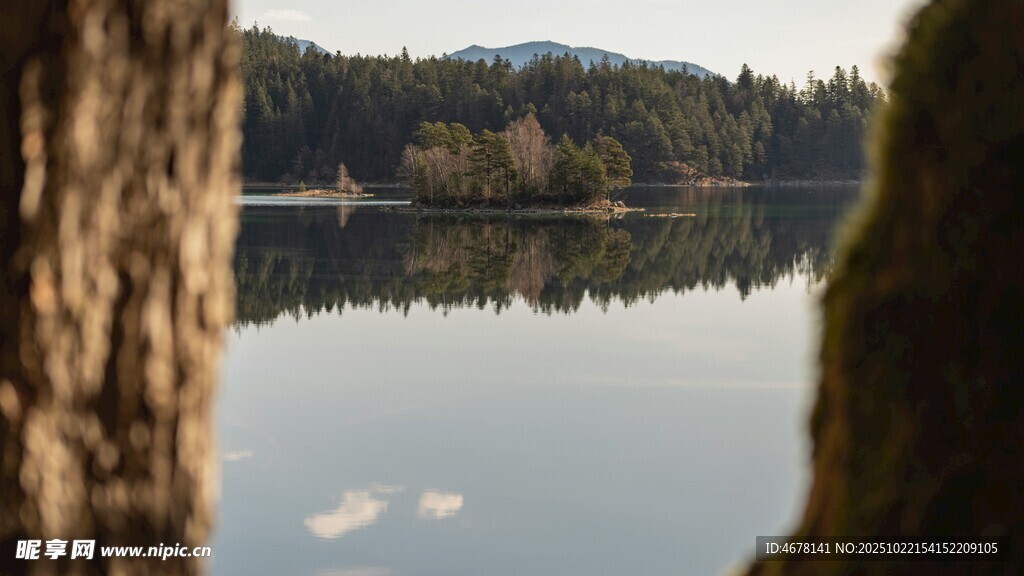 湖畔林间静谧湖景