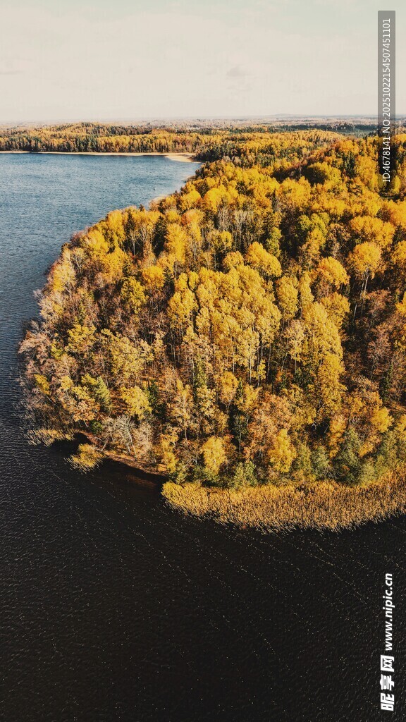秋日湖畔斑斓树林美景