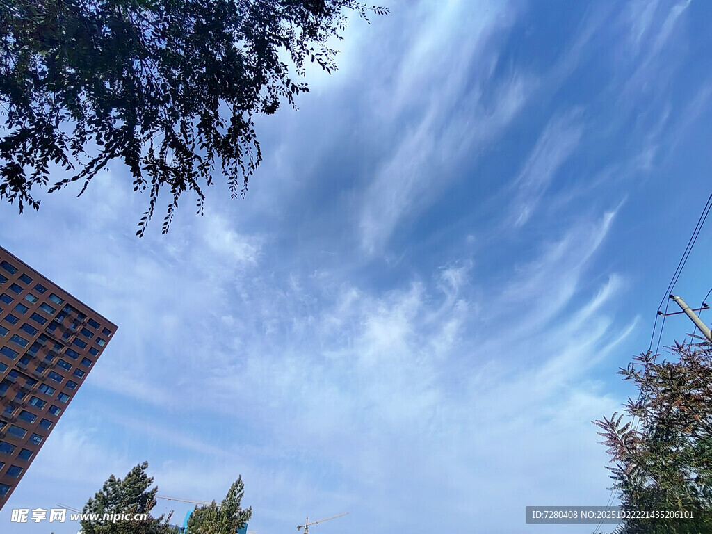 蓝天绿树间的美丽天空