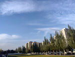 城市河畔绿树与高楼风景