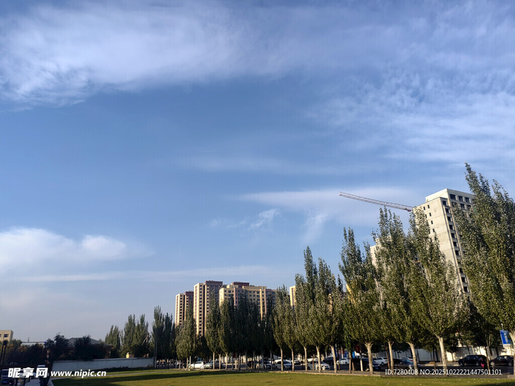 城市河畔绿树与高楼风景