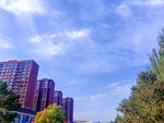 秋日城市高楼与葱郁树木