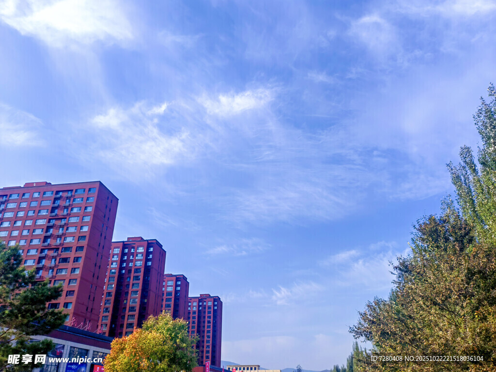 秋日城市高楼与葱郁树木