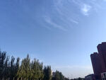 蓝天绿树旁的城市建筑