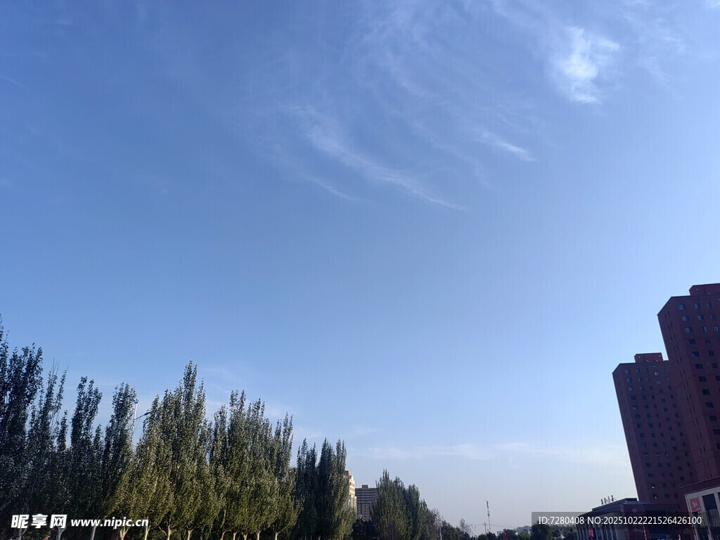 蓝天绿树旁的城市建筑