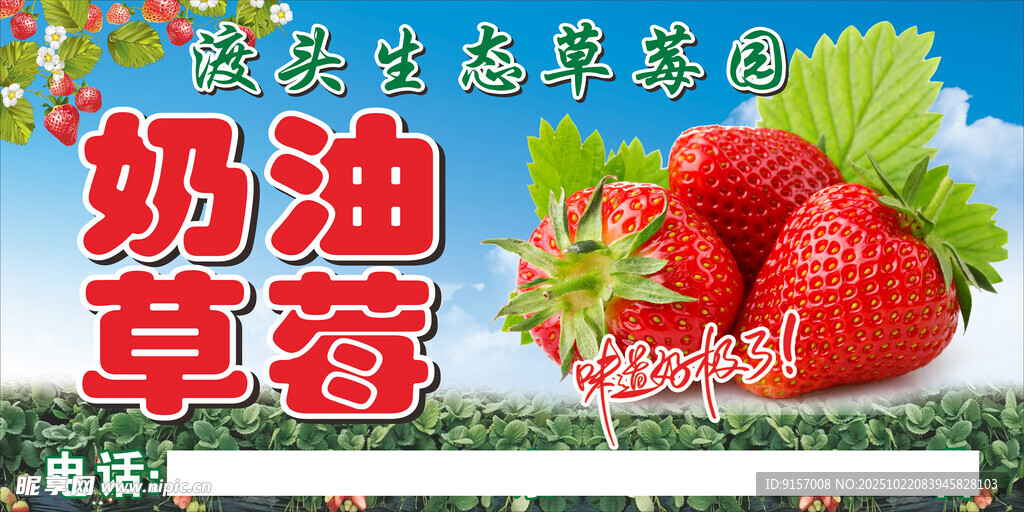新鲜奶油草莓现摘现发