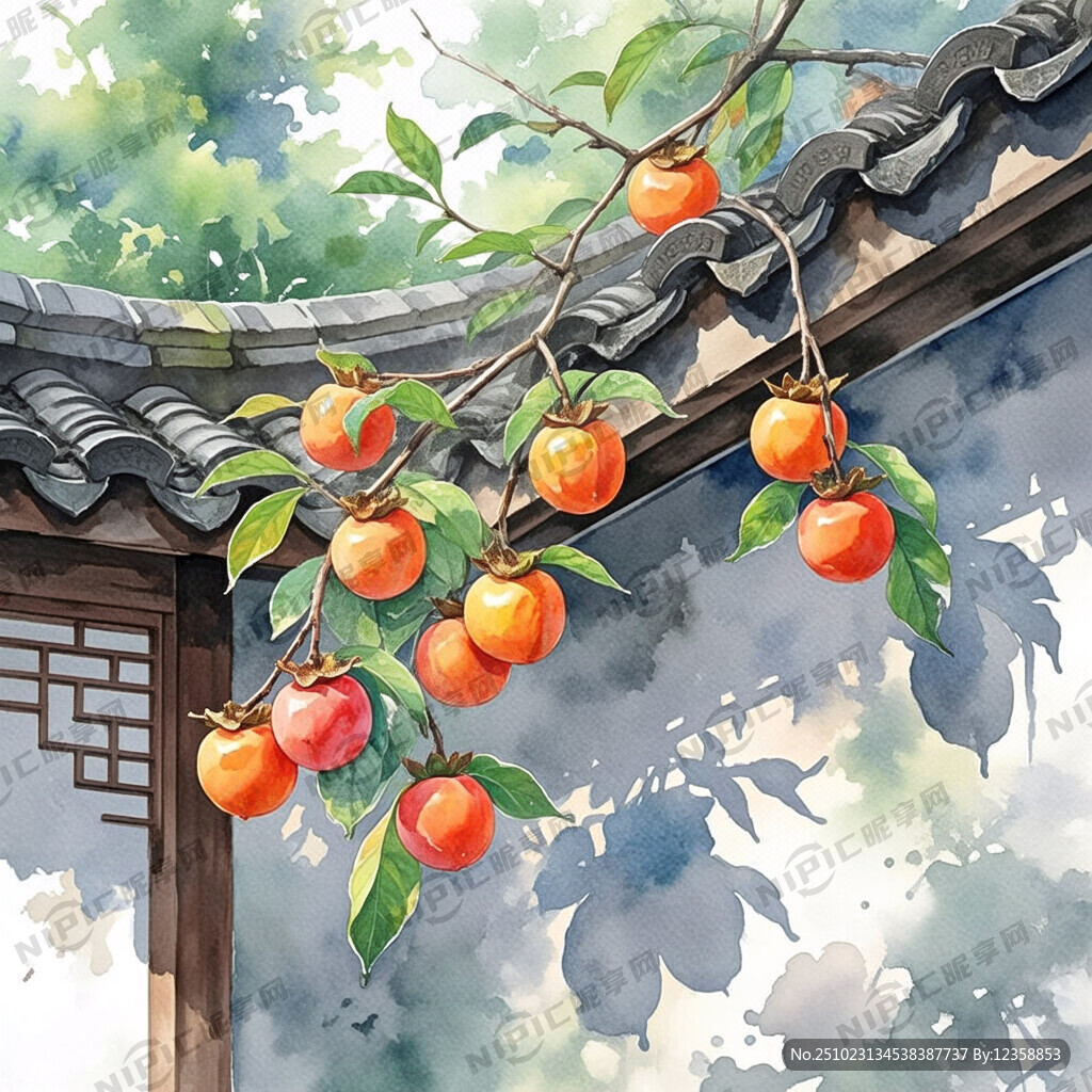 一幅关于霜降的插画 有柿子