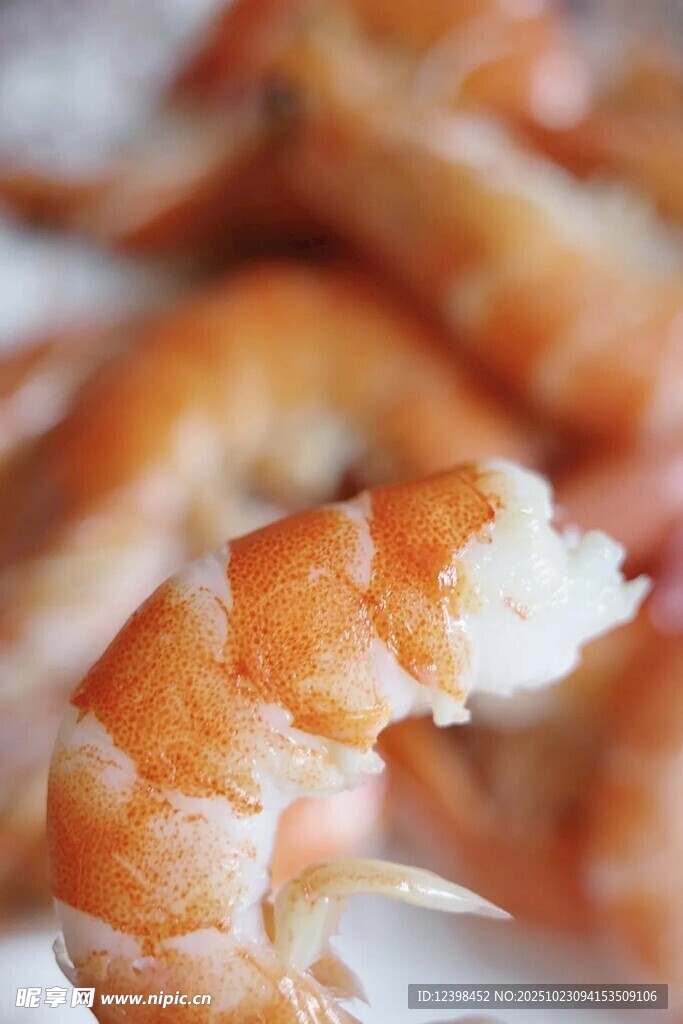 美味鲜虾特写