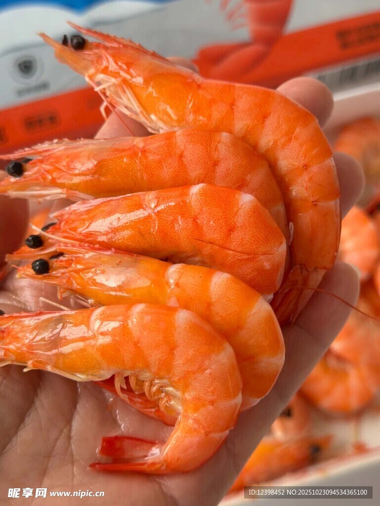 鲜活大虾