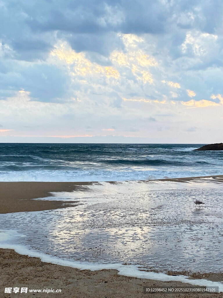 大海