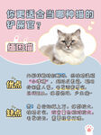 养猫知识海报