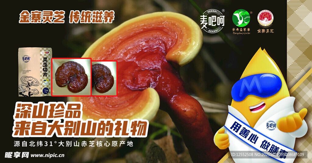 野生赤灵芝