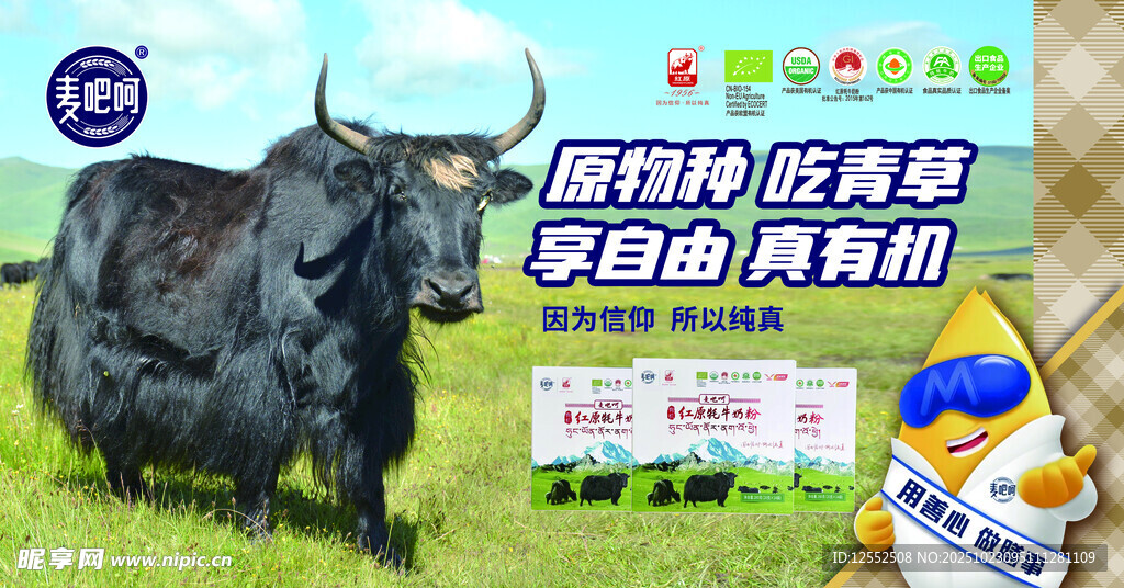 草原黑牦牛与趣味科普牌