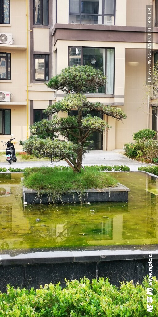 精致庭院景观设计