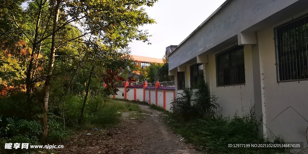 乡村小屋旁的幽静小道