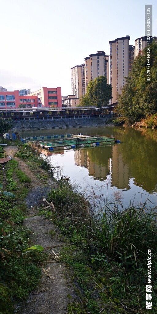 城郊河畔风光