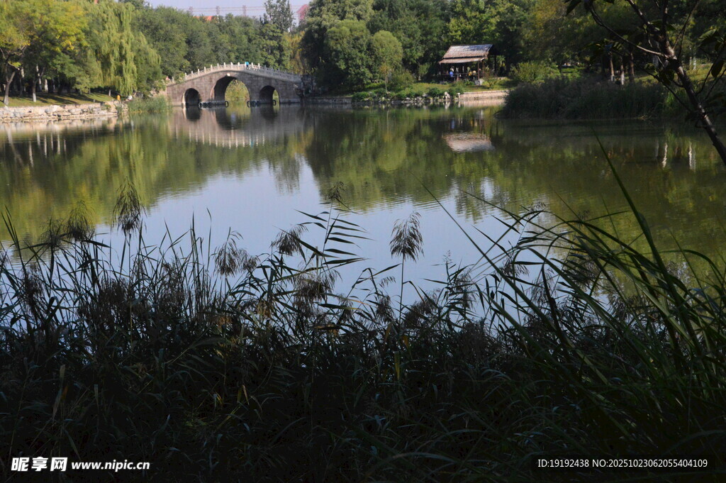 公园风景 