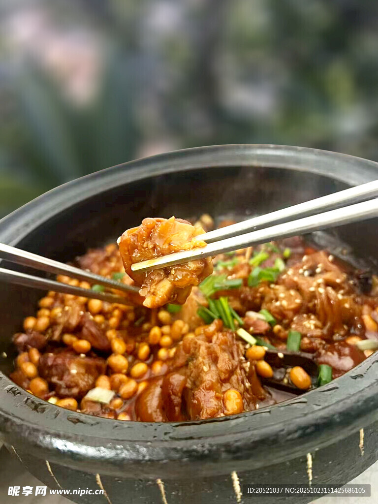 美味砂锅黄豆炖猪 筷子夹起瞬间