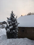 雪覆小屋旁的银装素裹树
