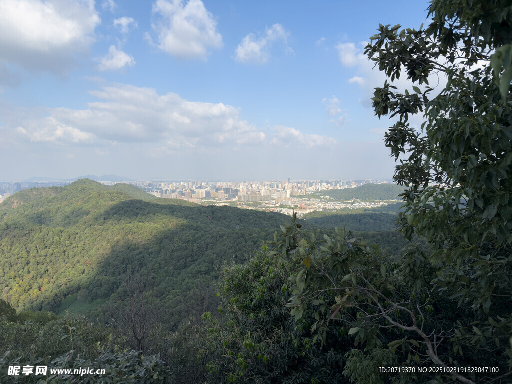 山巅远眺城市与葱郁山林