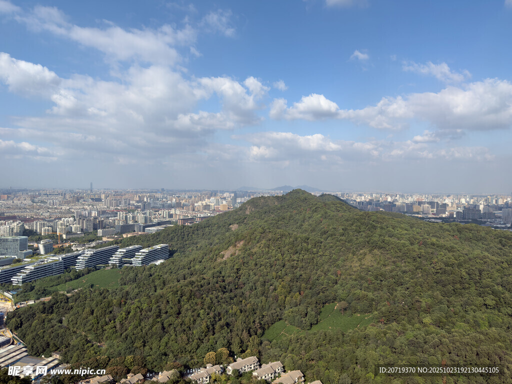 山巅俯瞰城市与葱郁山林