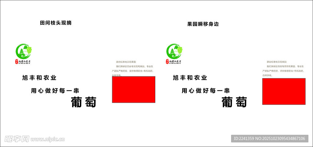 旭丰葡萄纸箱
