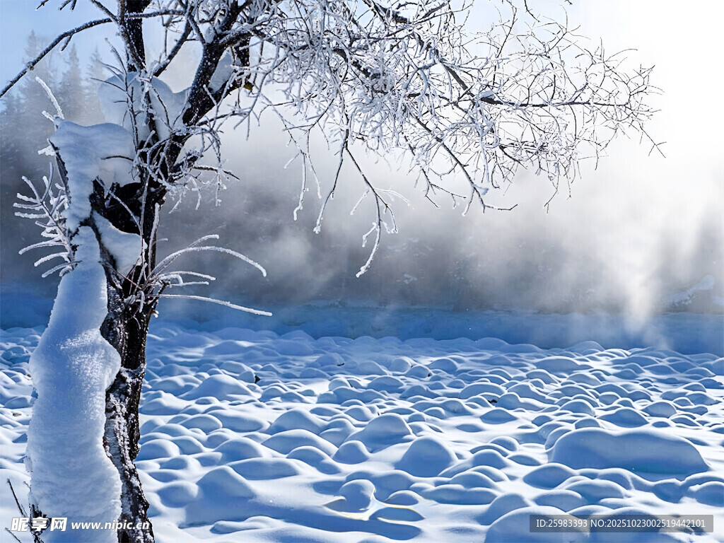冬日雪景