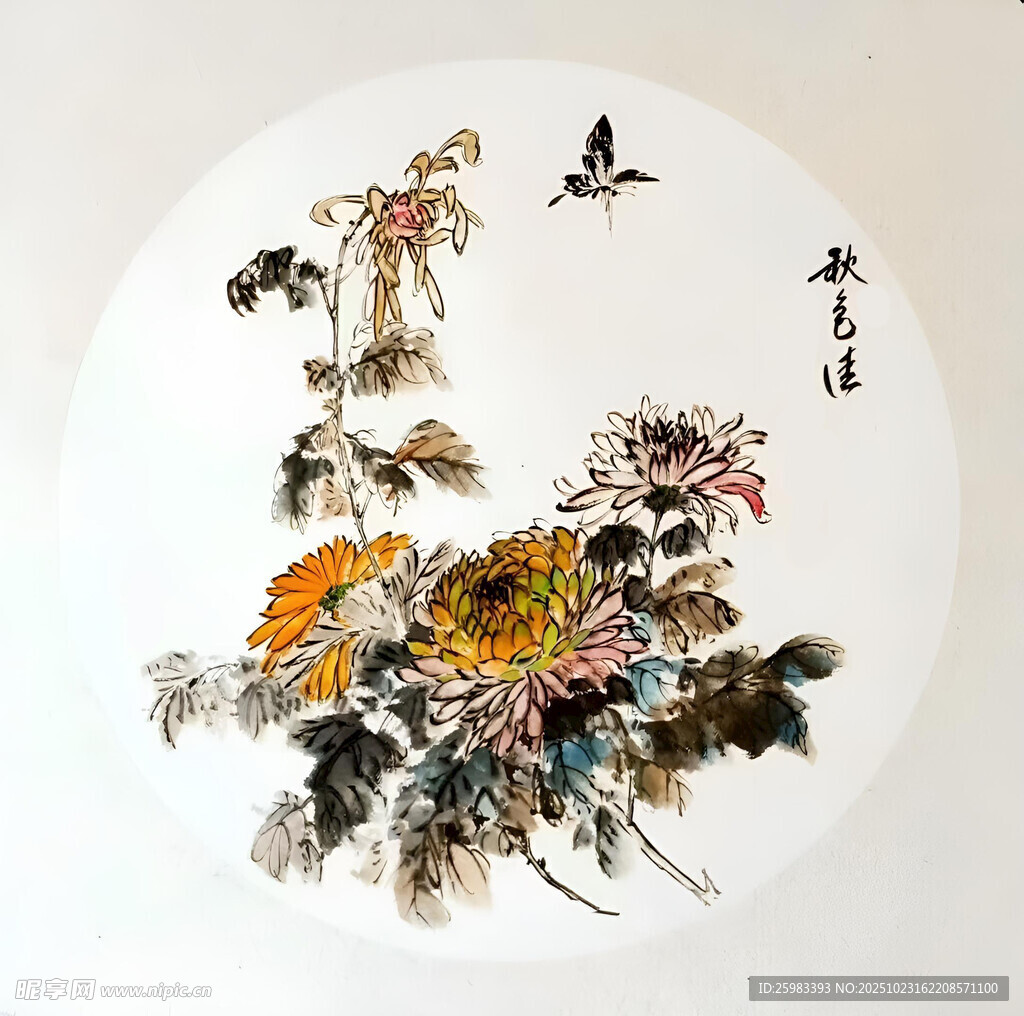 菊花蝴蝶图