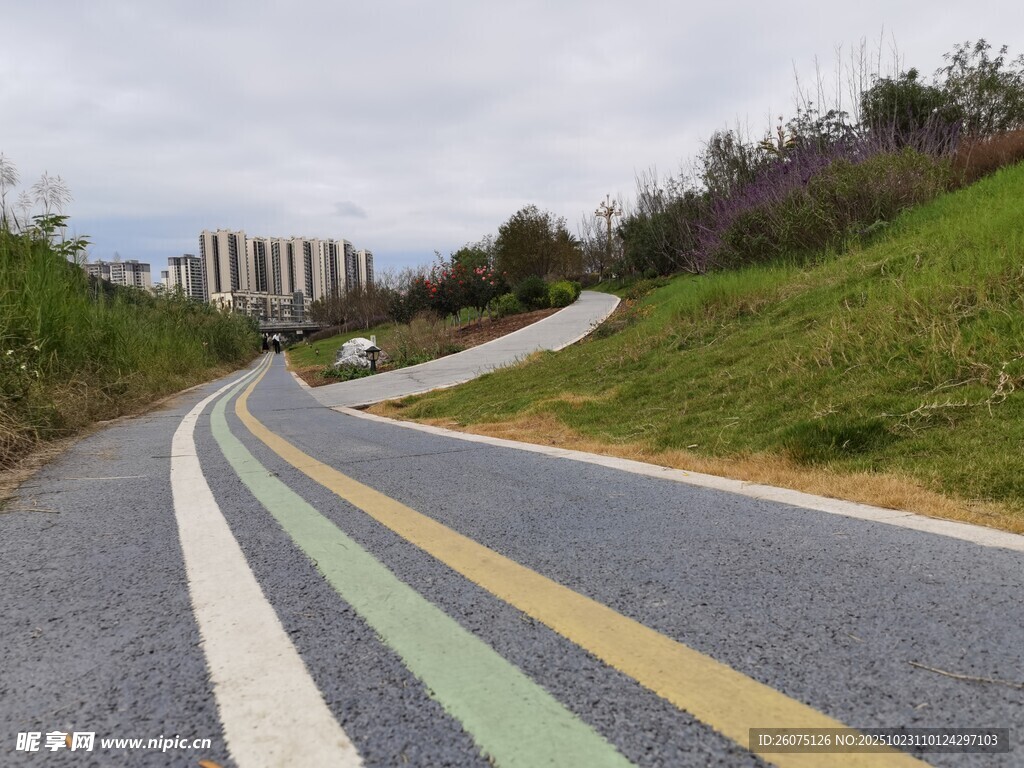 蜿蜒多彩公路穿绿地
