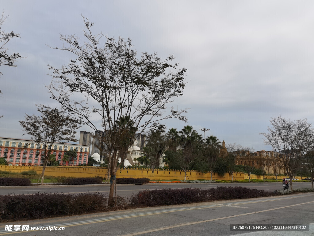 城市道路旁的开阔景观