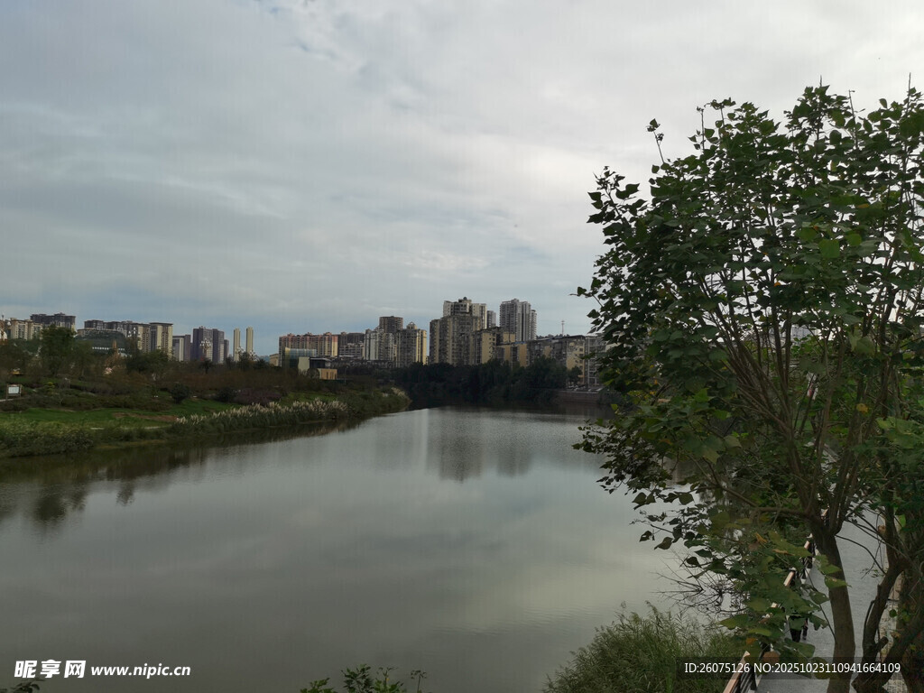 河畔城市风光绿树相伴