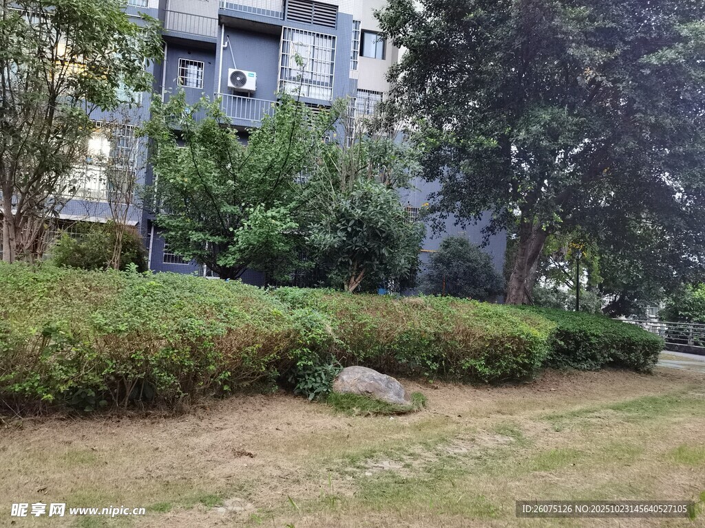 小区绿植环绕的住宅一角
